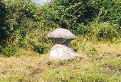 mushroom stone at Inchiquin Lough, County Clare in Ireland