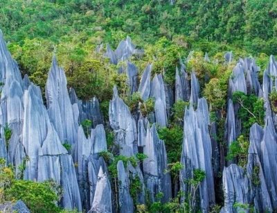 Sarawak's Mulu Pinnacles