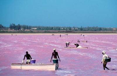 Озеро розовое Ретба в Сенегале